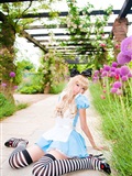 cosplay套图 c78 NECOCO.in.Wonderland(24)
